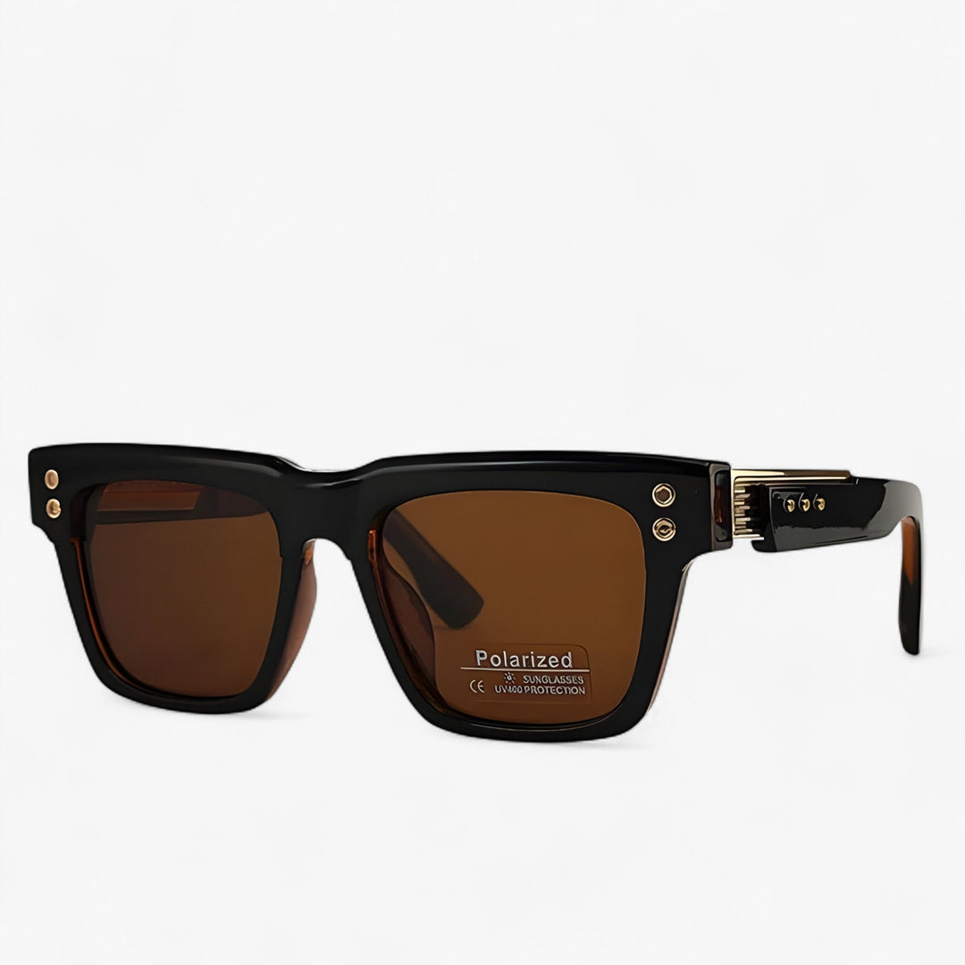 Polarised Steampunk Sunglasses – Axior-Black-The Livary