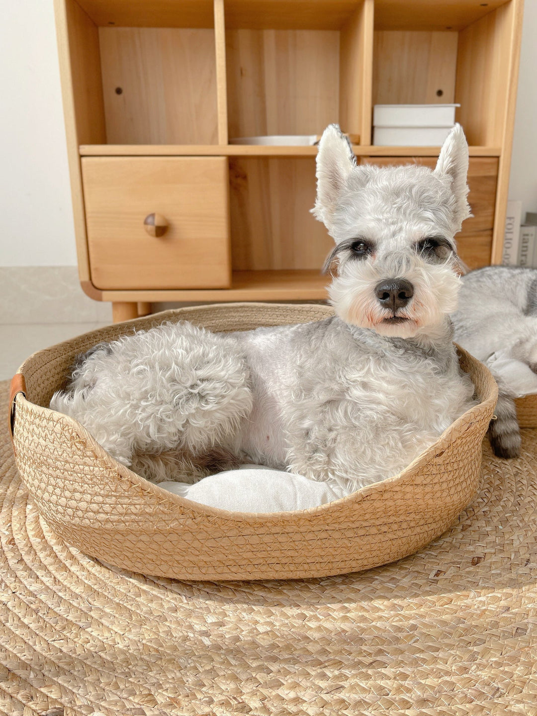Handmade Comfortable Bed for Cats - LuxeSnooze-Man-S-The Livary