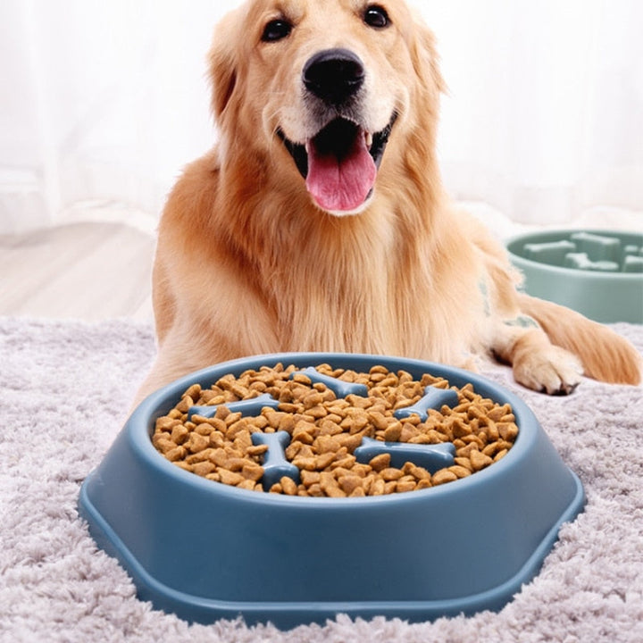 Slow Feeder Bowl - PawMaze™-Blue-The Livary