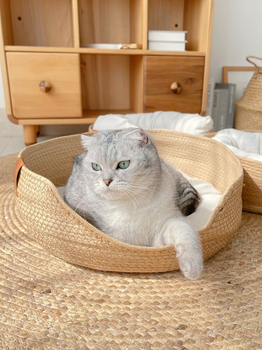 Handmade Comfortable Bed for Cats - LuxeSnooze-Man-S-The Livary
