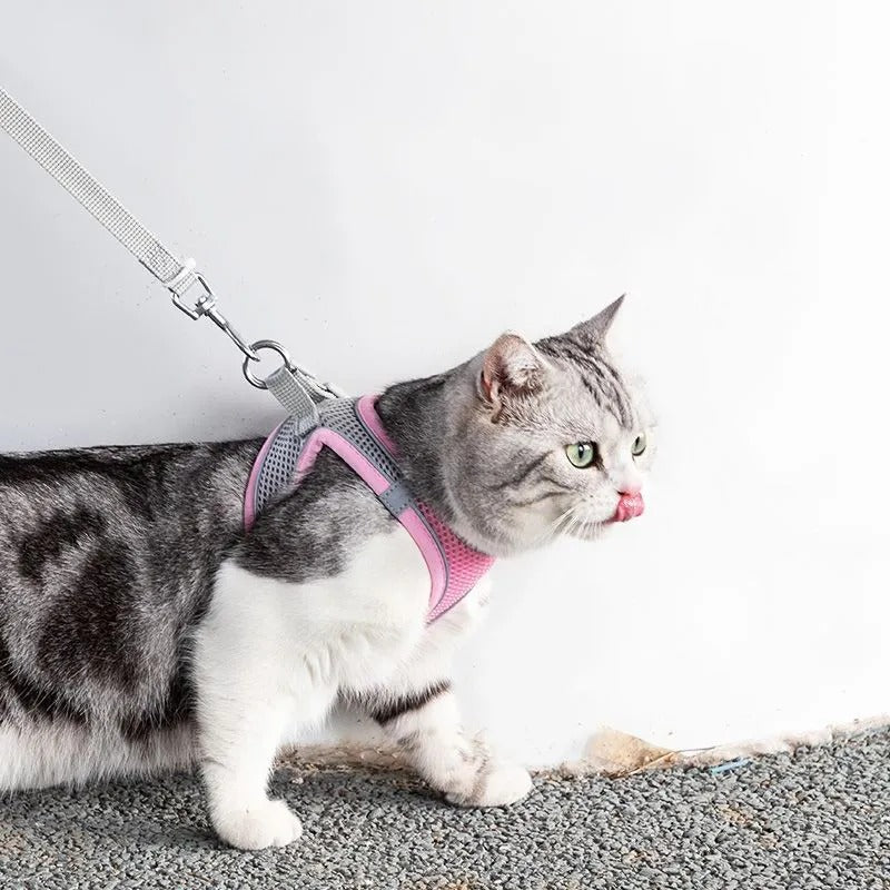 Adjustable Cat Harness with Leash – WhiskerWander-Pink-XS - 0.5 to 3 kg-The Livary