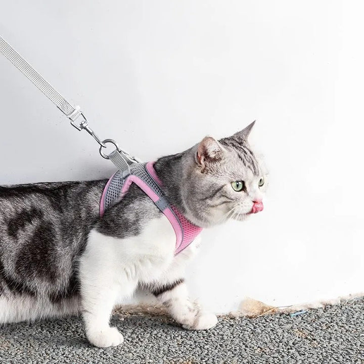 Adjustable Cat Harness with Leash – WhiskerWander-Pink-XS - 0.5 to 3 kg-The Livary