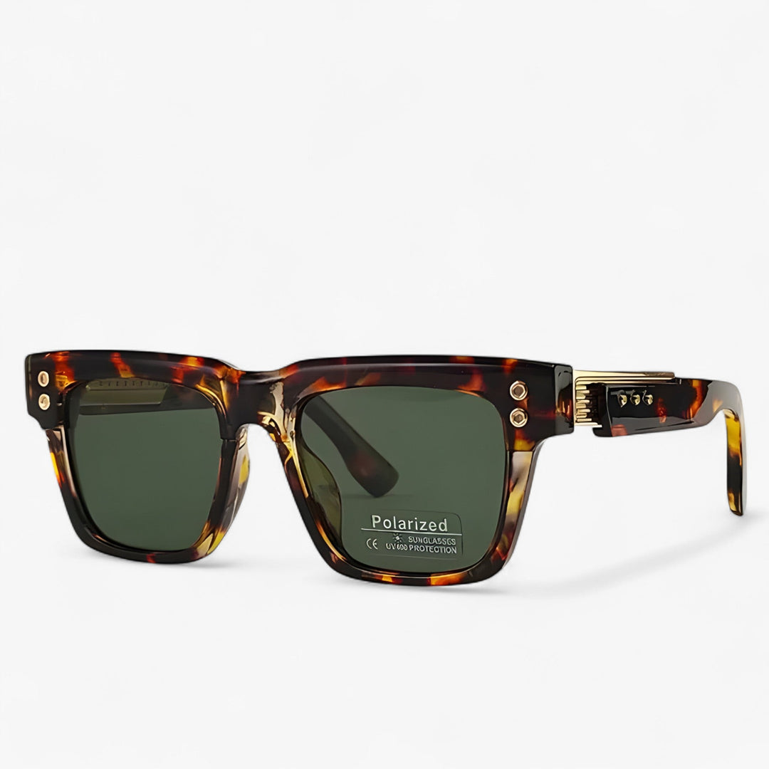Polarised Steampunk Sunglasses – Axior-Black-The Livary