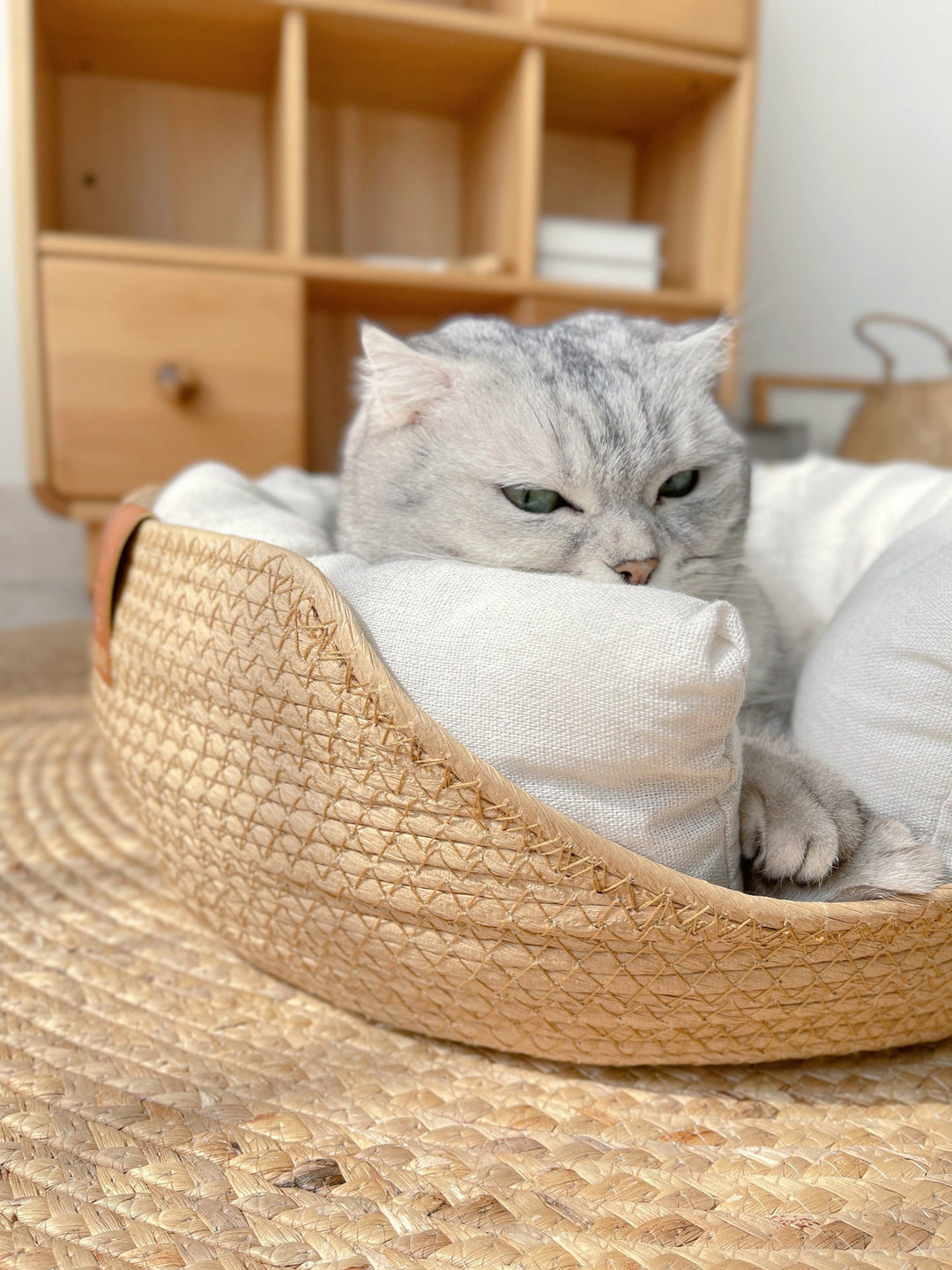 Handmade Comfortable Bed for Cats - LuxeSnooze-Man-S-The Livary