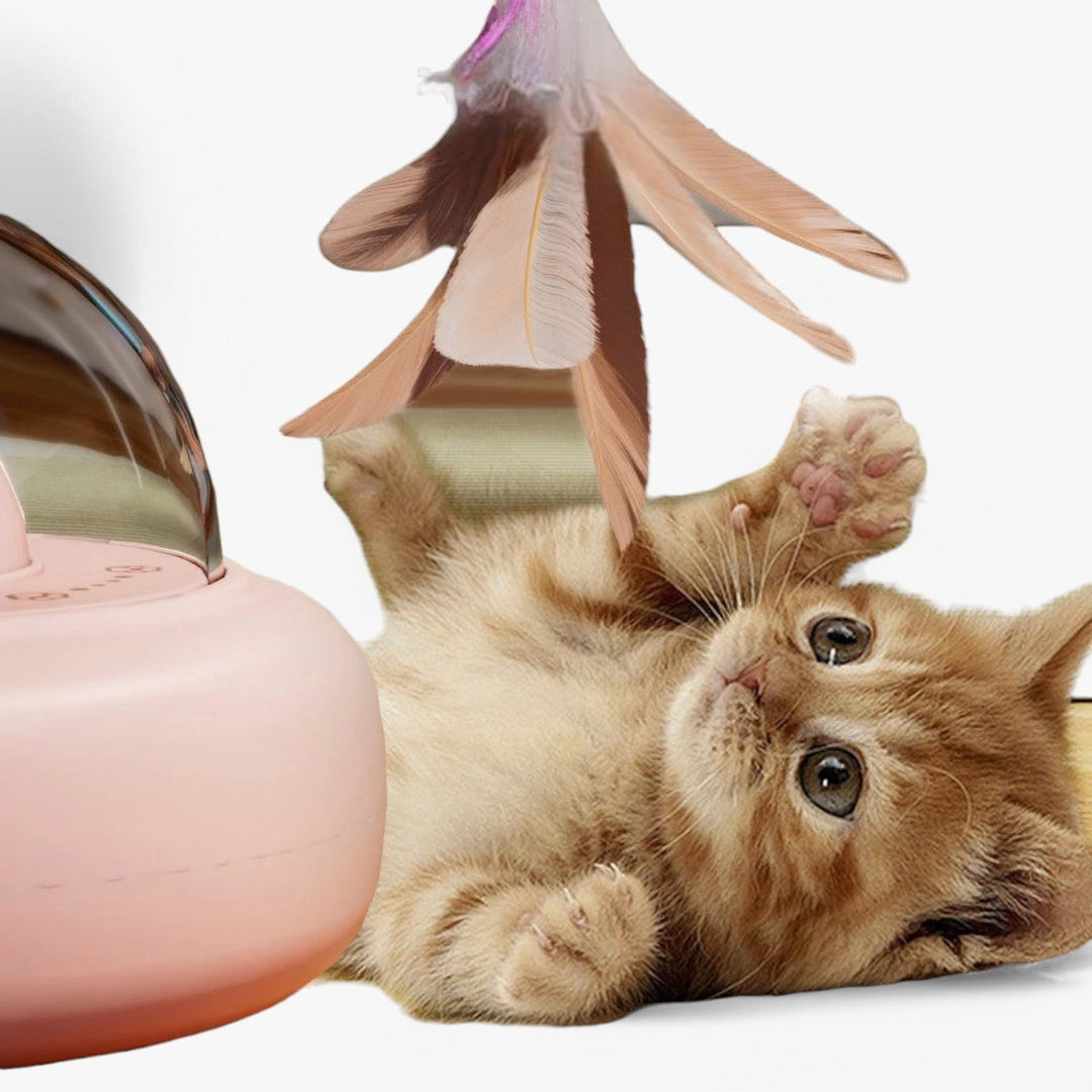 Slim Laser Cat Toy with Rainbow Light - Nola-Pink-The Livary