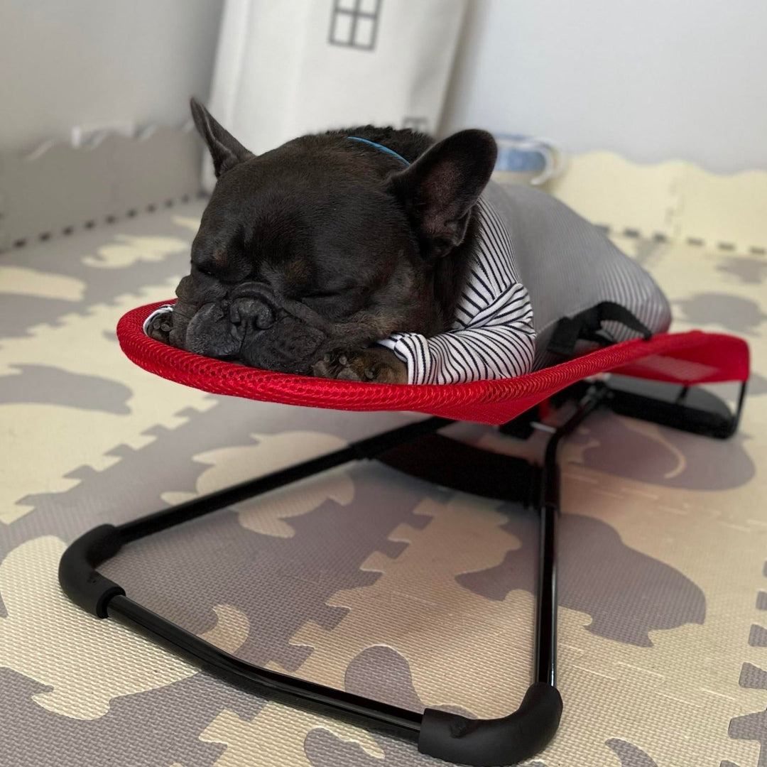 Luxury Dog Rocking Chair - Swingo-Red-The Livary