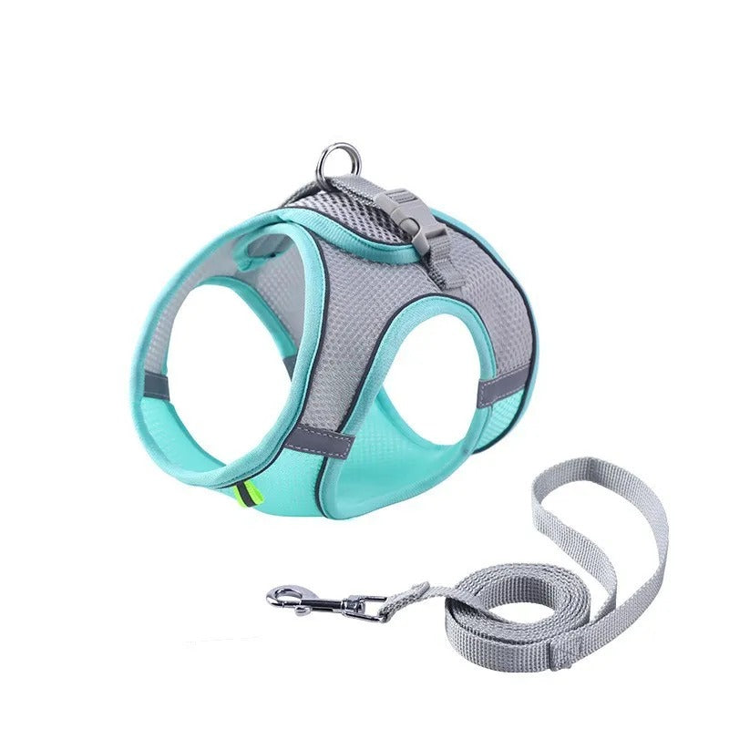 Adjustable Cat Harness with Leash – WhiskerWander-Blue-XS - 0.5 to 3 kg-The Livary