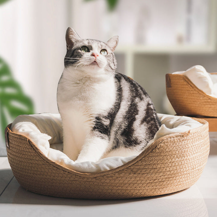 Handmade Comfortable Bed for Cats - LuxeSnooze-Man-S-The Livary
