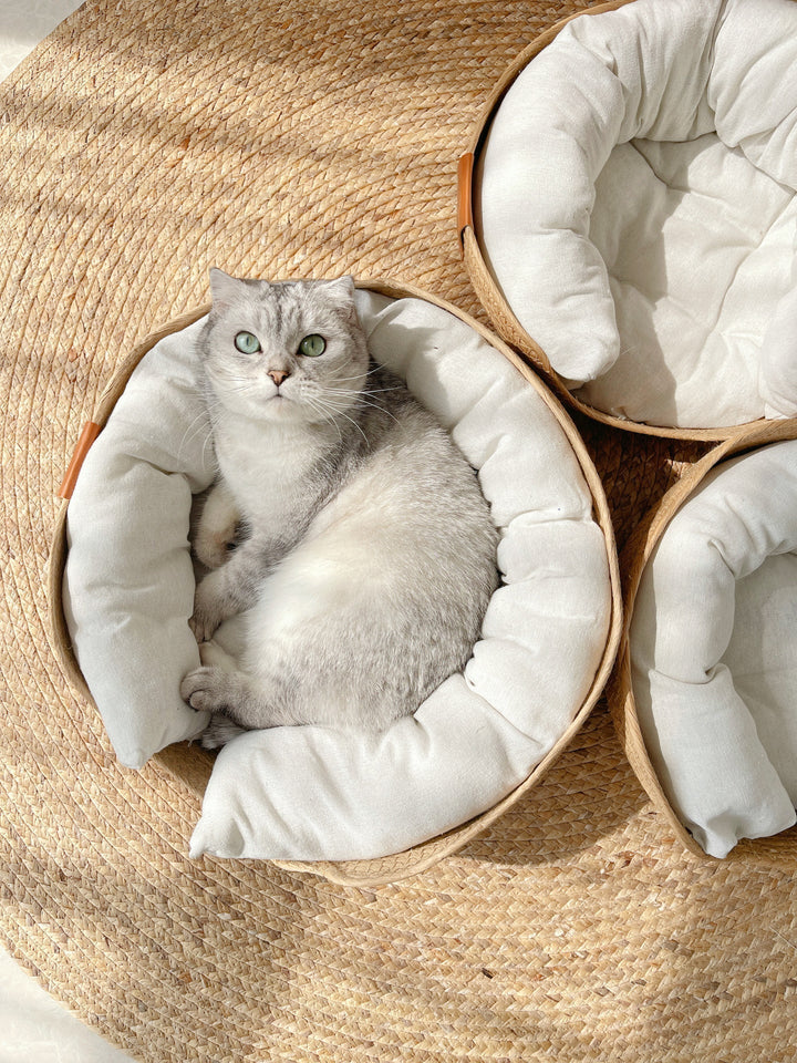 Handmade Comfortable Bed for Cats - LuxeSnooze-Man-S-The Livary