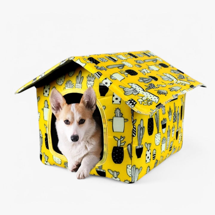 Waterproof Pet House for Outdoors – Nessa-Cactus-The Livary