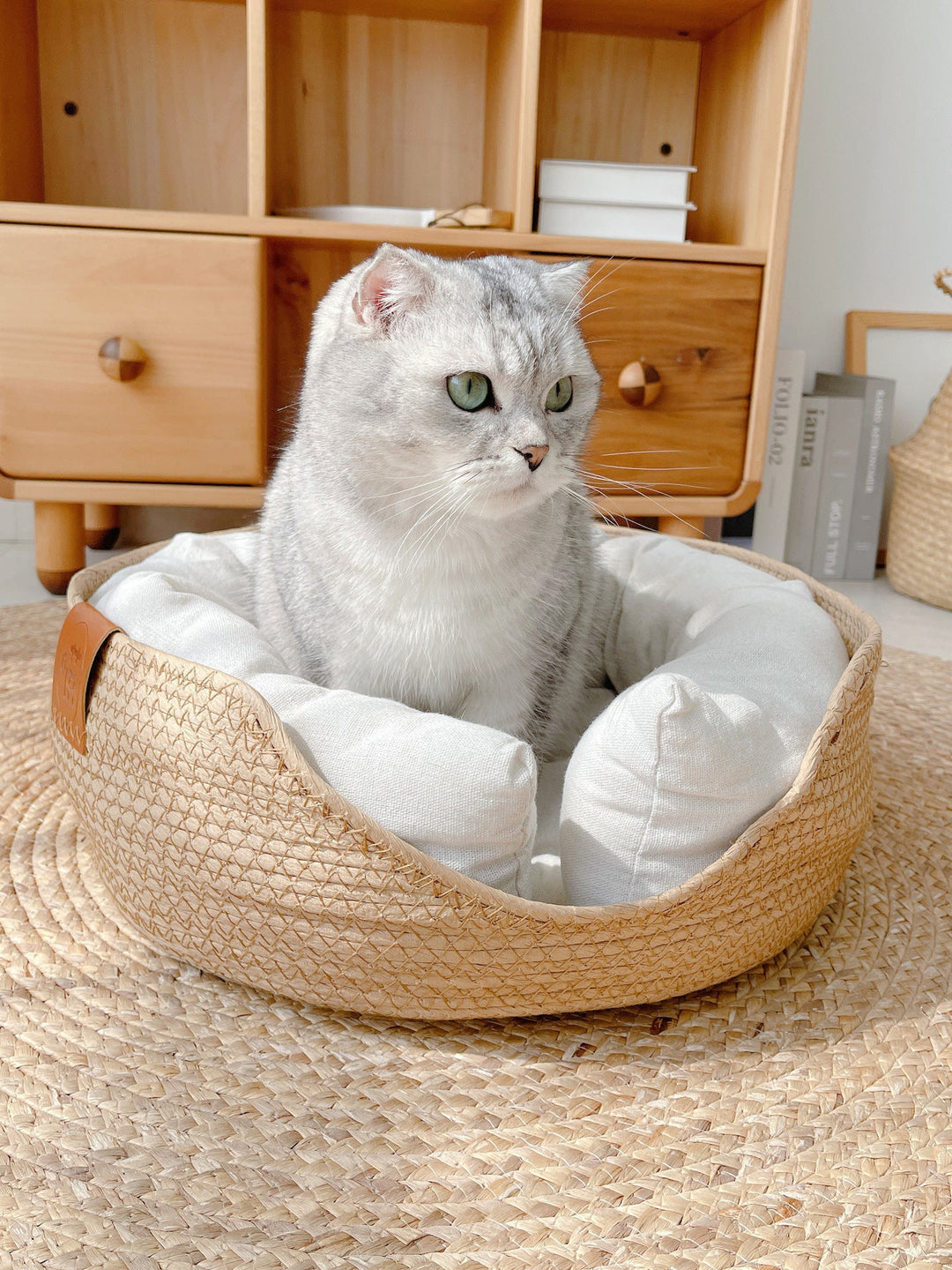 Handmade Comfortable Bed for Cats - LuxeSnooze-Man-S-The Livary