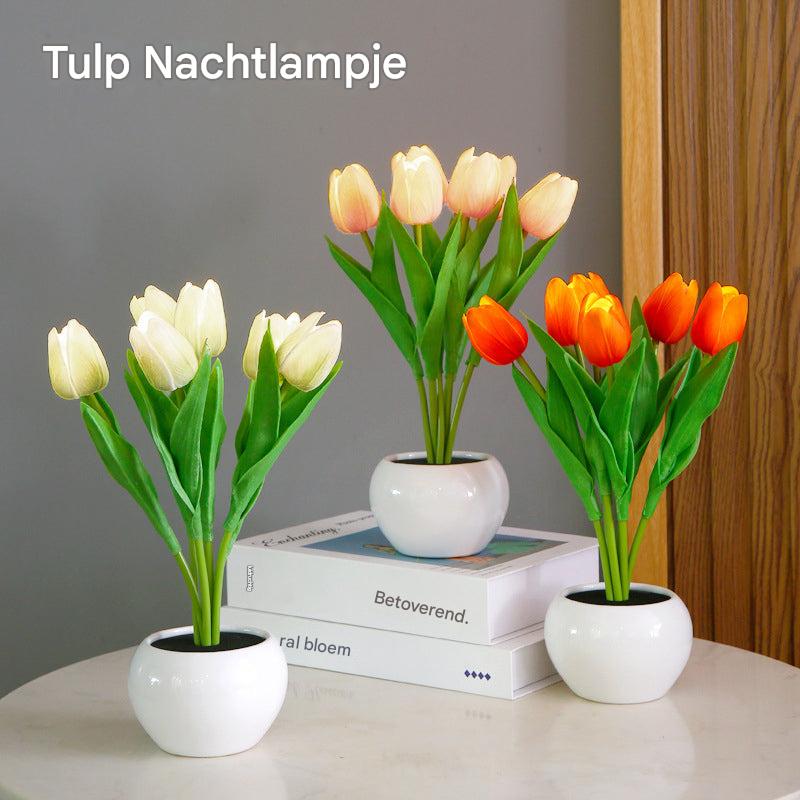 Tulip Night Lamp - LumiTulip-3 Orange-Batteries-The Livary