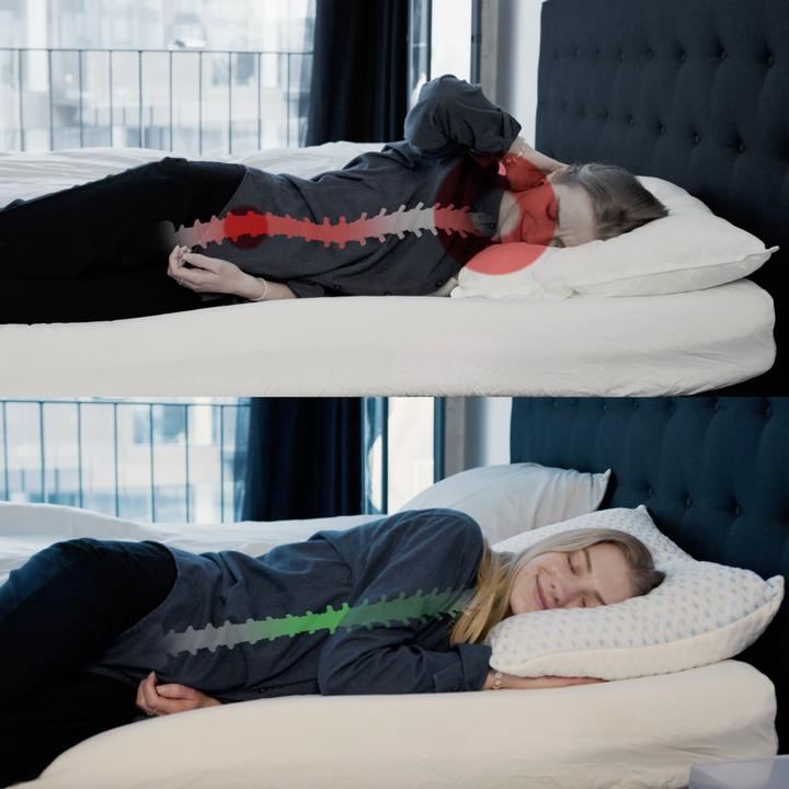 Adjustable Ergonomic Cushion – Sereno-The Livary