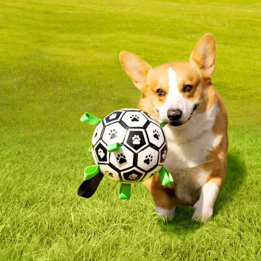 Durable Dog Football with Handles – TugBounce-Small (15cm)-The Livary