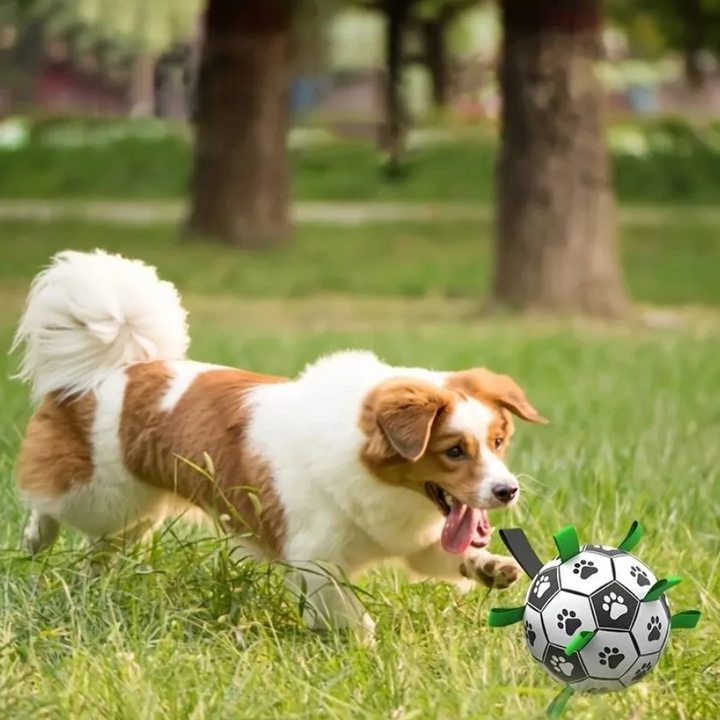 Durable Dog Football with Handles – TugBounce-Small (15cm)-The Livary