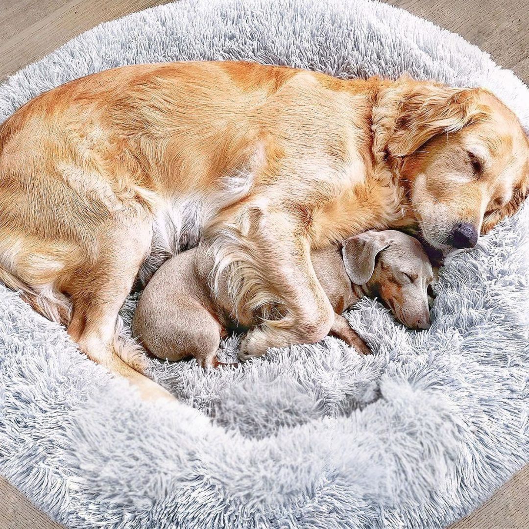 Dog Bed Fluffy Plus - The Original-Gray-XXS - 19.7in-The Livary