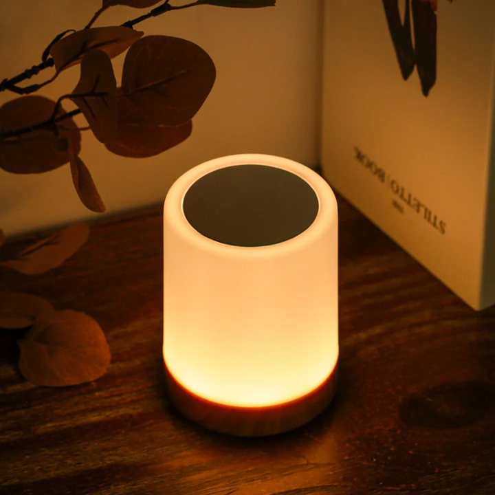 Dimmable Night Light with Sleek Design - LuxeTouch-The Livary