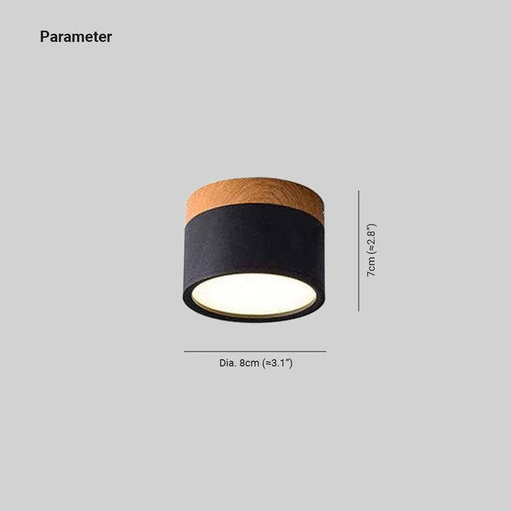 Morandi Style Modern LED Ceiling Lamp - LumiModo-Blue-5W-Warm white-The Livary
