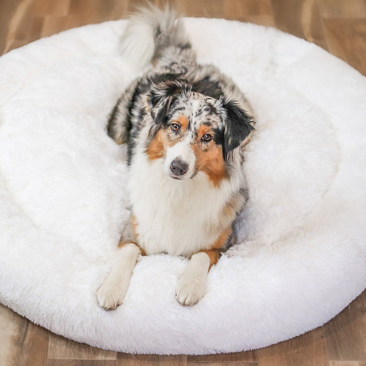 Dog Bed Fluffy Plus - The Original-White-XXS - 19.7in-The Livary
