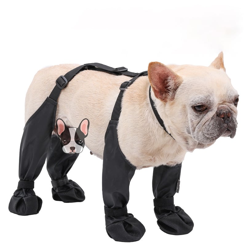 Boots for Safe Outdoor Adventures - PawShield-S-The Livary