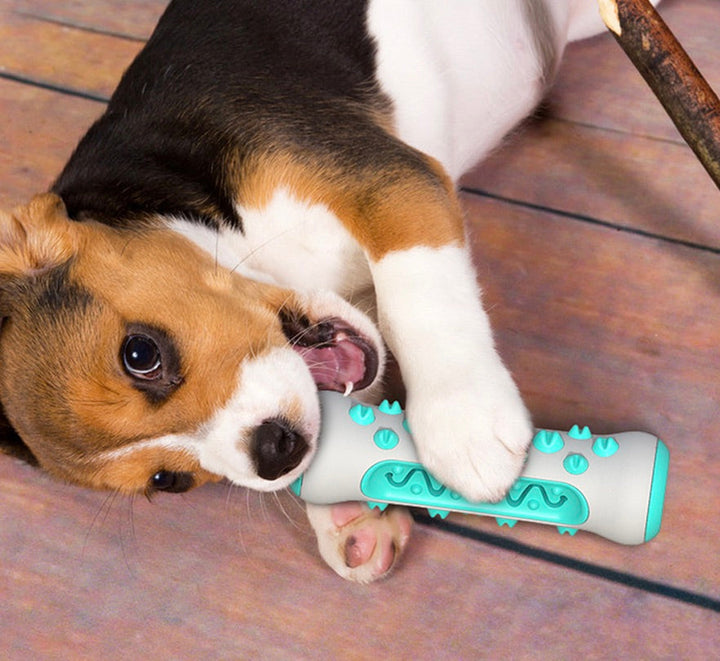 Dental Cleaning Chew Toy for Dogs – Chewly-Blue-The Livary