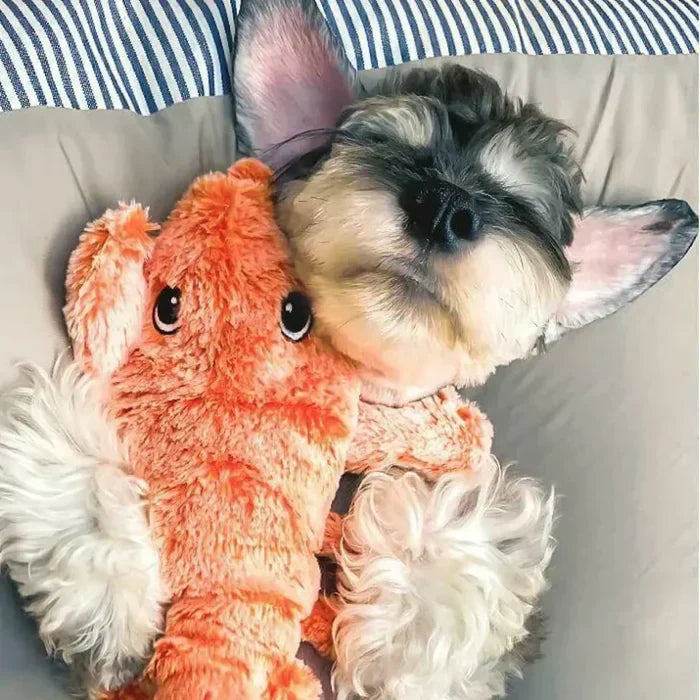 Moving Dog Toy with Motion Sensor - PlayPal-Lobster-The Livary