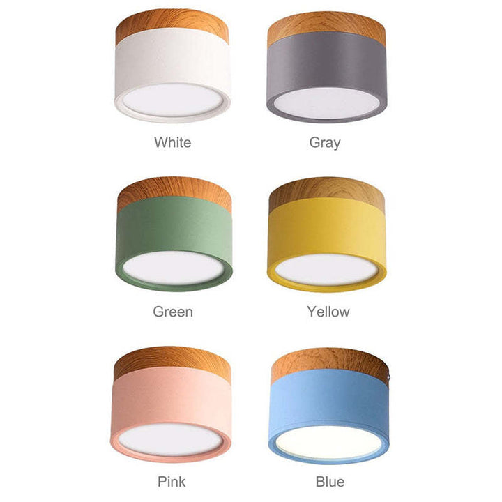 Morandi Style Modern LED Ceiling Lamp - LumiModo-Blue-5W-Warm white-The Livary