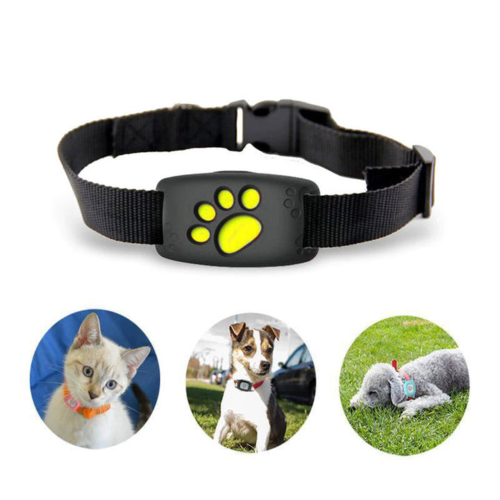 Smart GPS Collar for Cats and Small Dogs – PawTrack-Black-The Livary