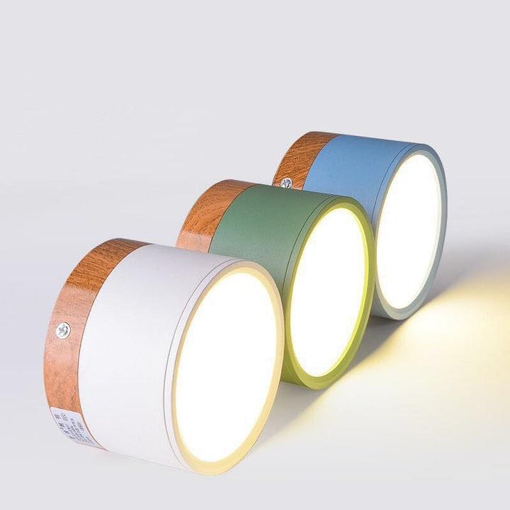 Morandi Style Modern LED Ceiling Lamp - LumiModo-Blue-5W-Warm white-The Livary
