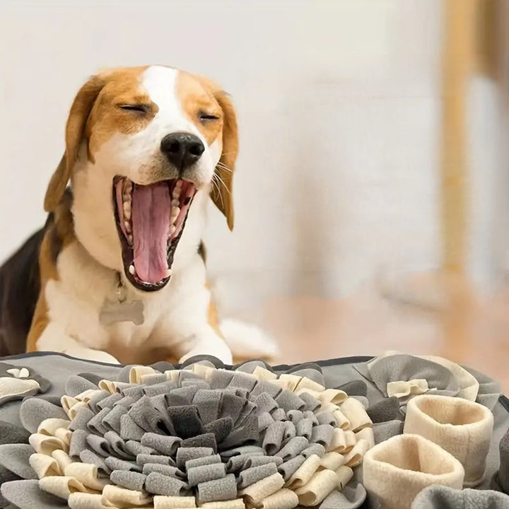 Make Mealtime an Adventure - Buddy Snuffle Mat-Grey-White-The Livary