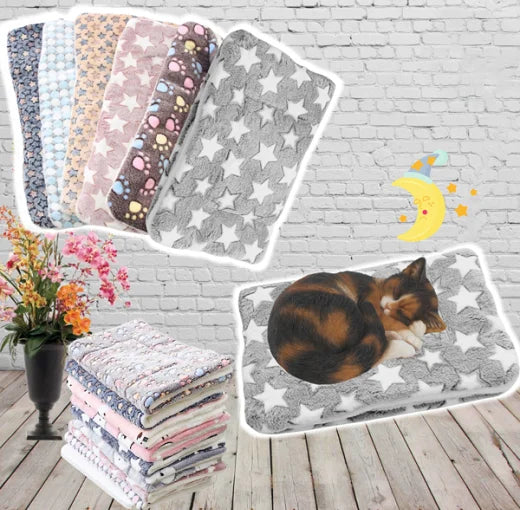 Warm Cat Blanket - SnuggleSoft-Gray & Star-S-The Livary