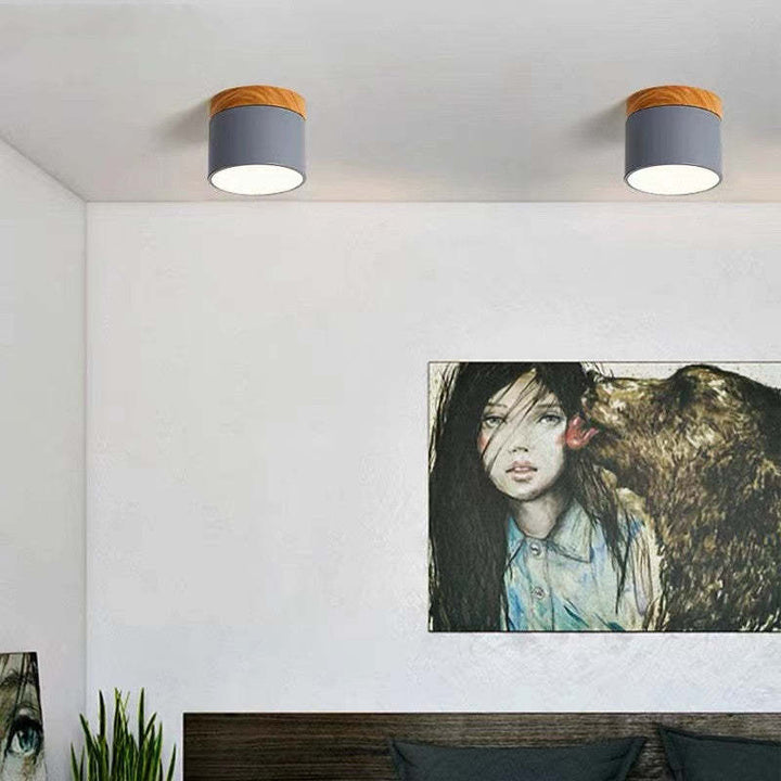 Morandi Style Modern LED Ceiling Lamp - LumiModo-Blue-5W-Warm white-The Livary