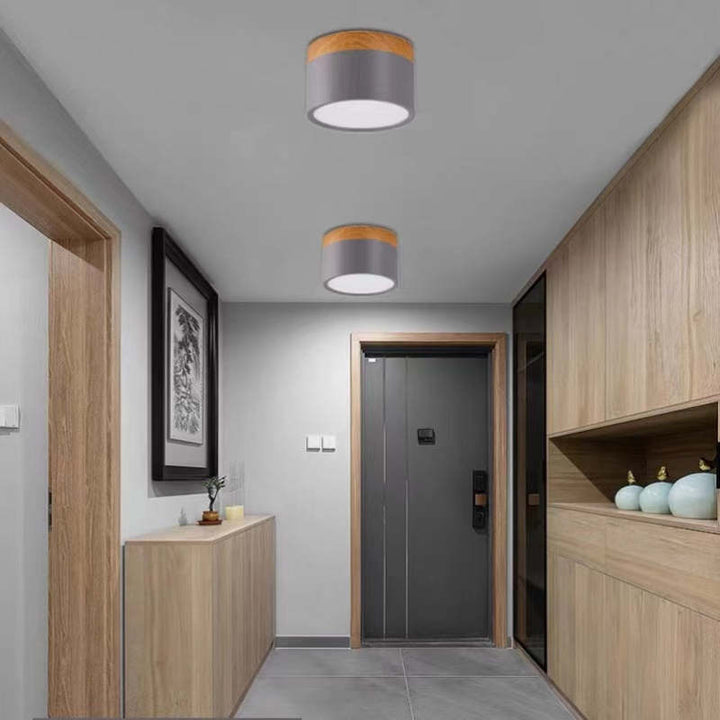 Morandi Style Modern LED Ceiling Lamp - LumiModo-Blue-5W-Warm white-The Livary