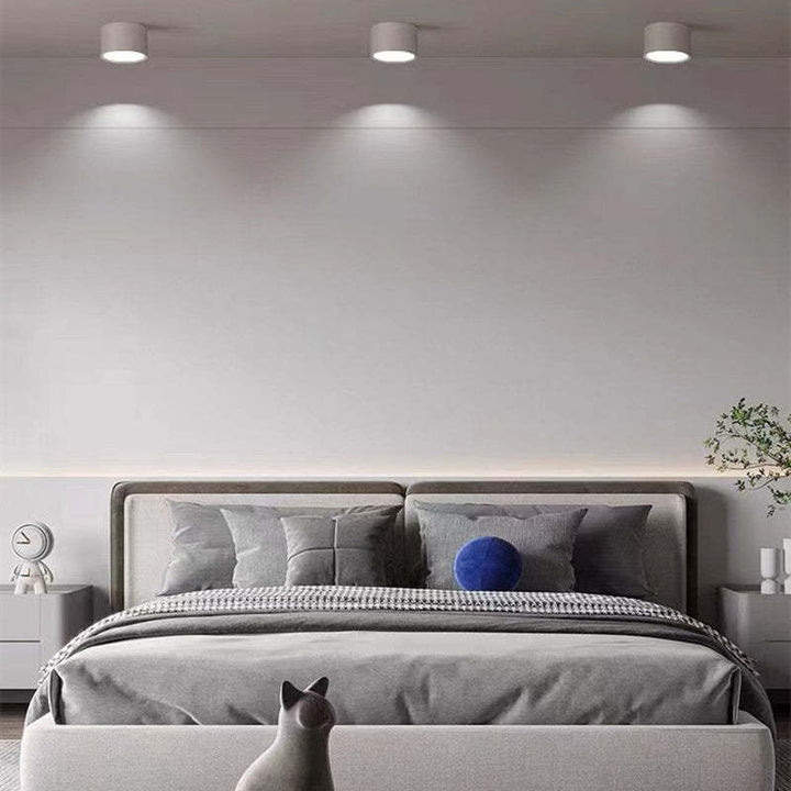 Morandi Style Modern LED Ceiling Lamp - LumiModo-Blue-5W-Warm white-The Livary