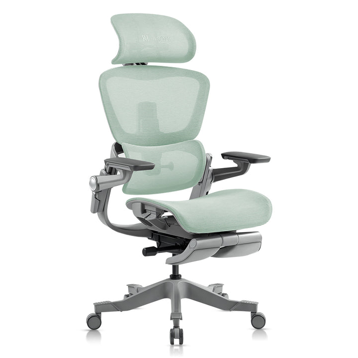 Ergonomic Office Chair with 16 Adjustable Features - ErgoFlex-Ice Green-S (height 61.0–66.9in)-The Livary