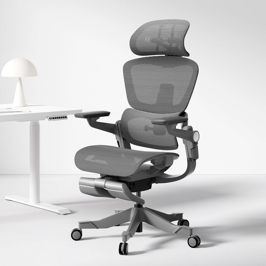 Ergonomic Office Chair with 16 Adjustable Features - ErgoFlex-Black-S (height 61.0–66.9in)-The Livary