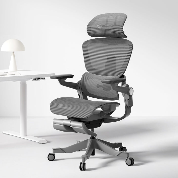 Ergonomic Office Chair with 16 Adjustable Features - ErgoFlex-Black-S (height 61.0–66.9in)-The Livary