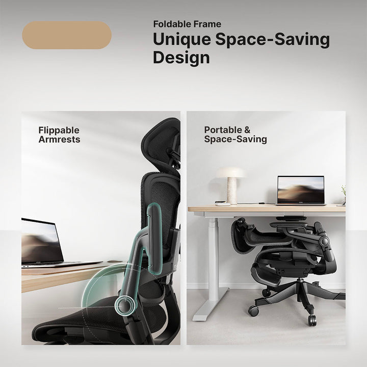 Ergonomic Office Chair with 16 Adjustable Features - ErgoFlex-Black-S (height 61.0–66.9in)-The Livary
