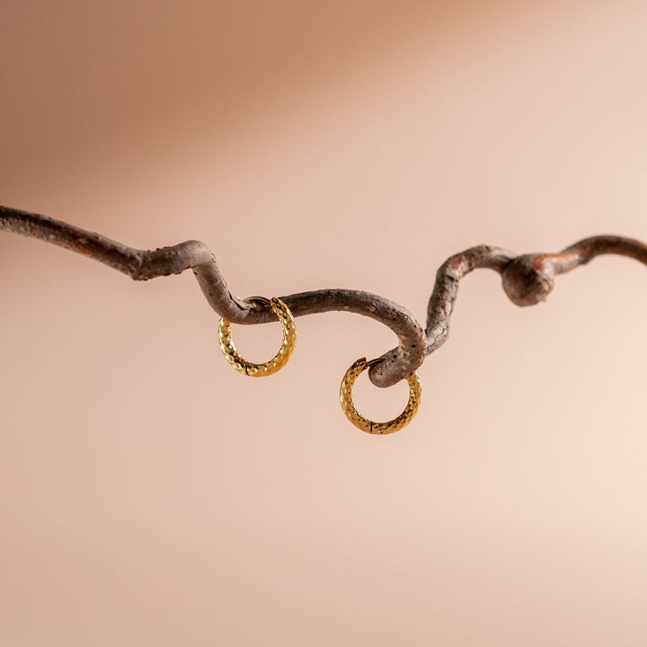 Hammered Earrings - Livia-The Livary