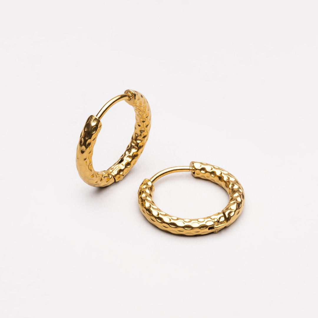 Hammered Earrings - Livia-The Livary