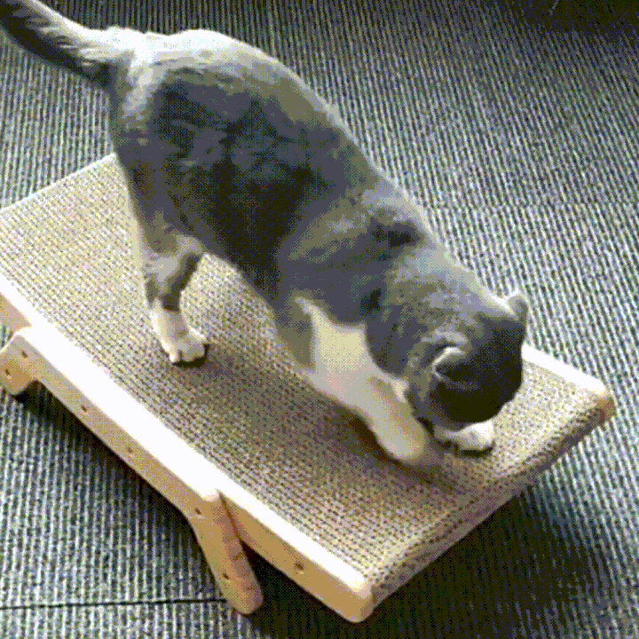The 3-in-1 Cat Scratching Post and Lounger - ClawLounge™-The Livary