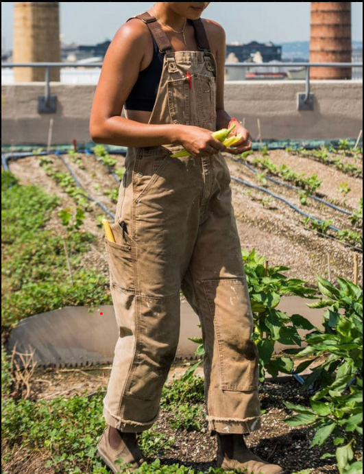 Unisex Garden Overalls - Sam-Beige-S-The Livary