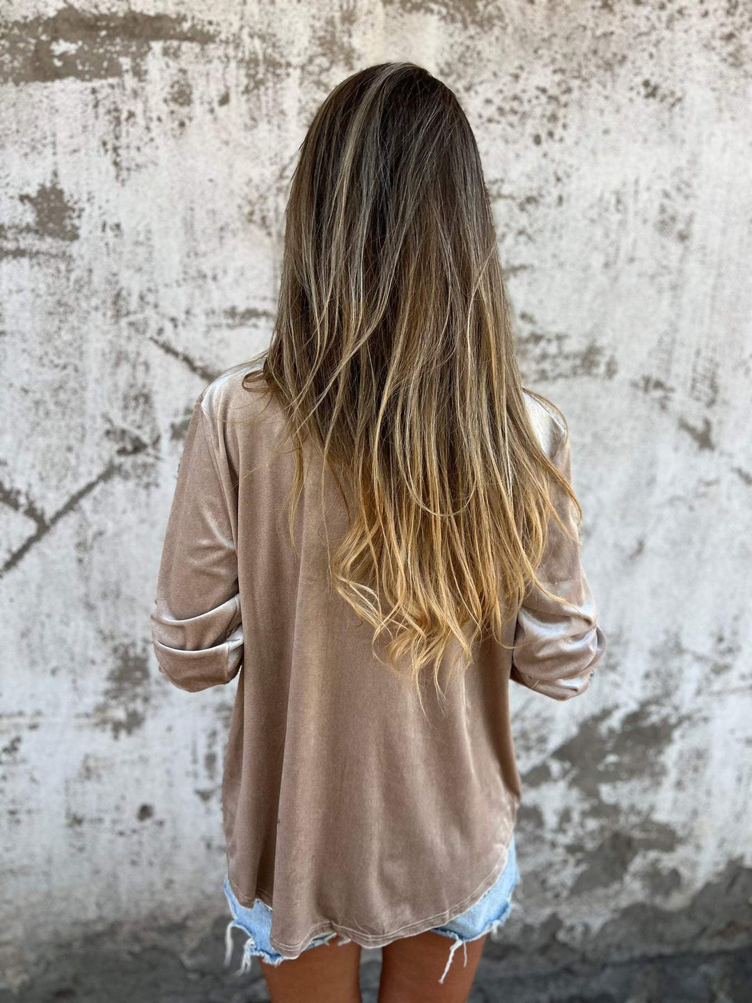 Trendy Velvet Blouse with Long Sleeves - Clara-Pink-S-The Livary