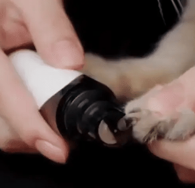 Electric Nail File for Dogs – PawTrim-The Livary