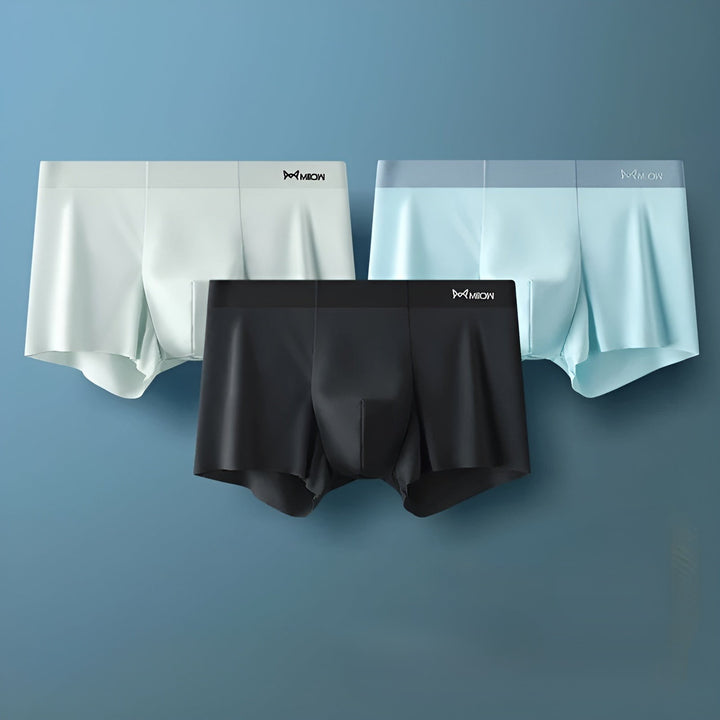 Seamless Men's Boxers - Leo-D-L-The Livary
