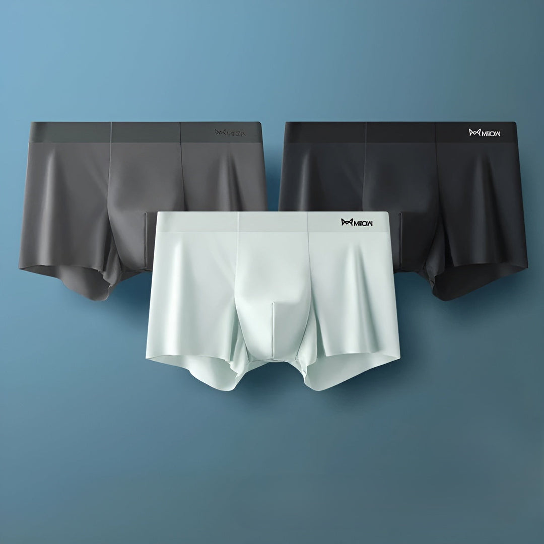 Seamless Men's Boxers - Leo-F-L-The Livary