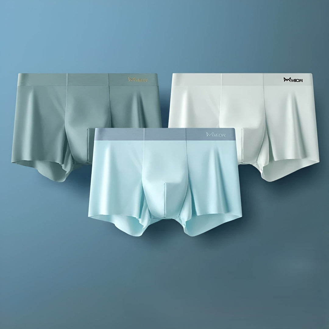 Seamless Men's Boxers - Leo-B-L-The Livary