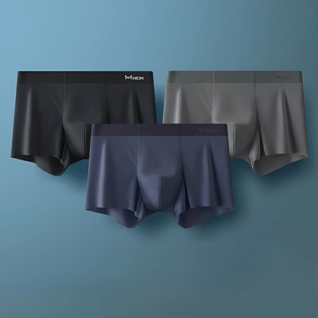 Seamless Men's Boxers - Leo-A-L-The Livary