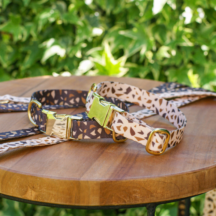 Dog Collar with Golden Accents – GoldenTerra-XS / 15mm-The Livary