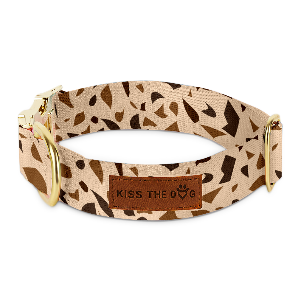 Dog Collar with Golden Accents – GoldenTerra-XS / 15mm-The Livary